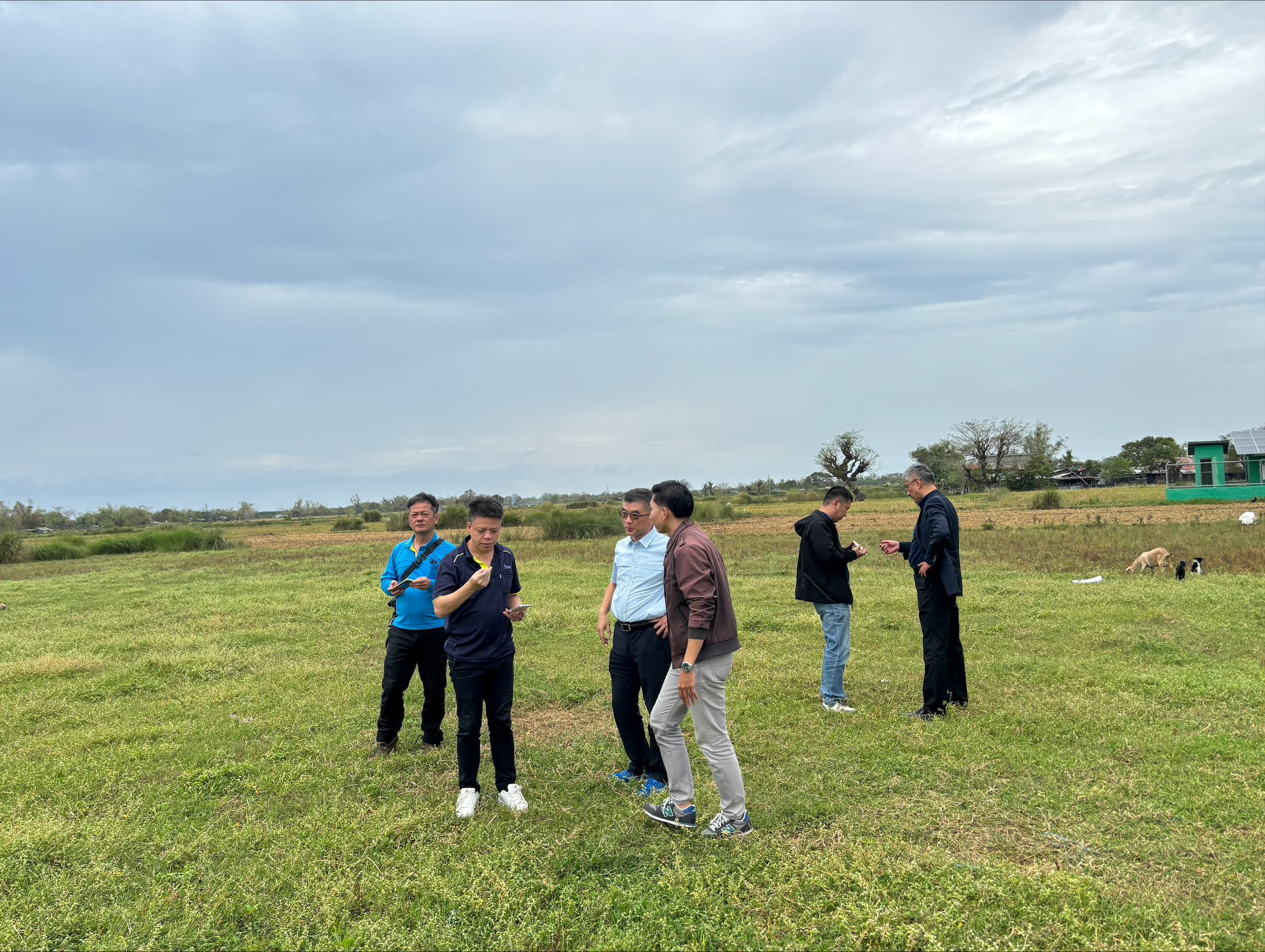 The Future of Renewable Energy